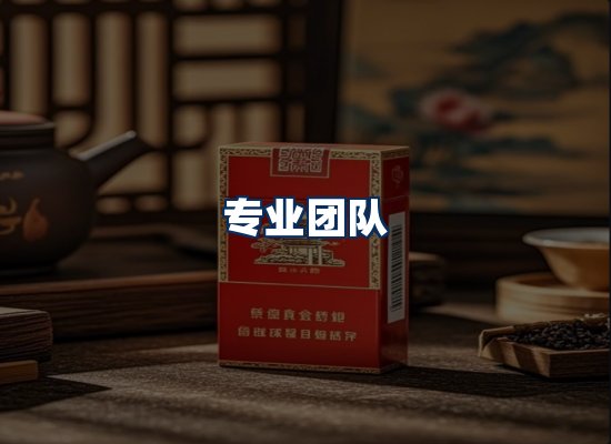 专业团队